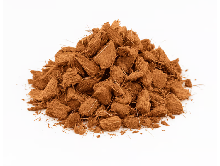coco chips