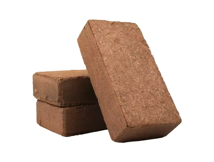 cocopeat briquette